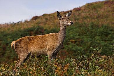 《全境封锁2》开发团队讨论赛季2.0和赛季角色：已重新评估